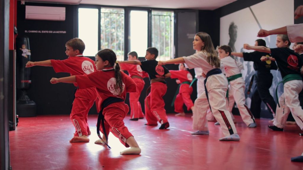 impacto de las artes marciales en los niños